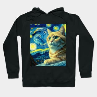 The Cat and the starry night Hoodie